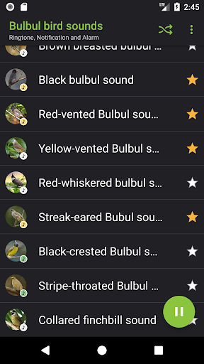 Bulbul bird sounds - Image screenshot of android app