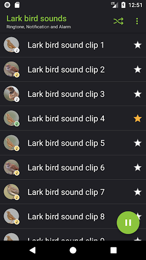 Lark bird sounds - Image screenshot of android app