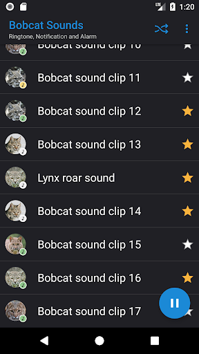 Bobcat Sounds - Image screenshot of android app