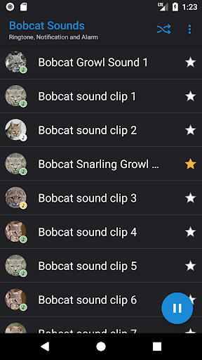 Bobcat Sounds - Image screenshot of android app