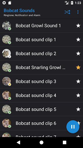 Bobcat Sounds - عکس برنامه موبایلی اندروید