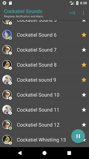 Cockatiel Sounds - Image screenshot of android app