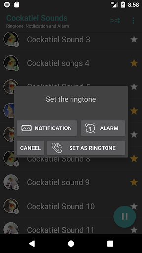 Cockatiel Sounds - Image screenshot of android app