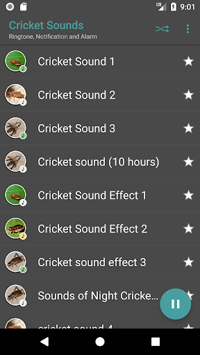 Crickets Sounds - Image screenshot of android app