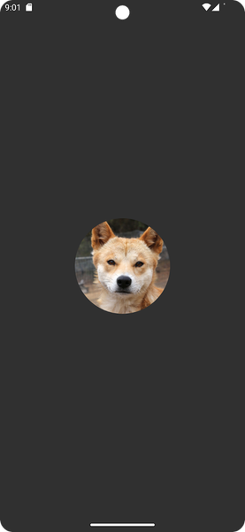 Dingo sounds - Image screenshot of android app