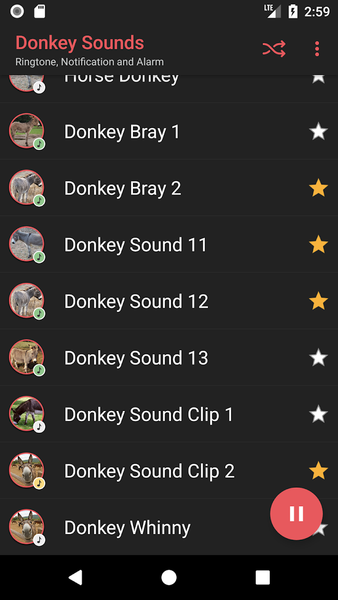 Donkey Sounds - Image screenshot of android app