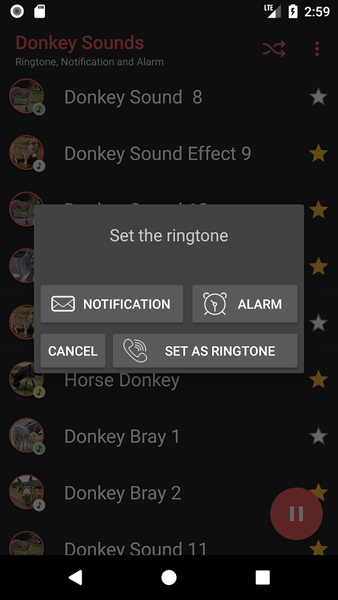 Donkey Sounds - Image screenshot of android app