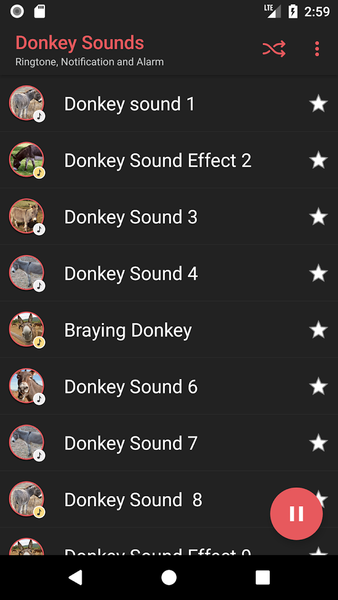 Donkey Sounds - Image screenshot of android app