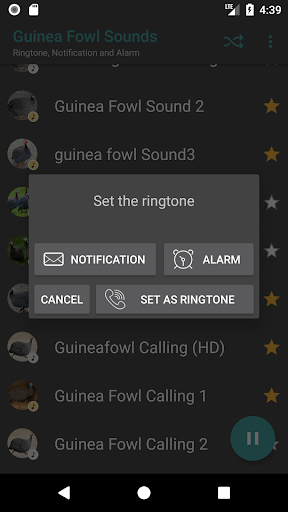 Guinea Fowl Sounds & Calls - Image screenshot of android app