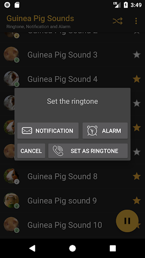 Guinea Pig Sounds - عکس برنامه موبایلی اندروید