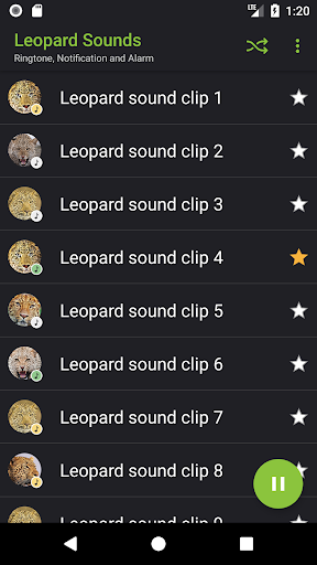 Leopard Sounds - Image screenshot of android app