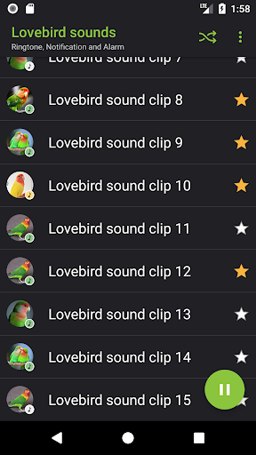 Lovebird sounds - Image screenshot of android app