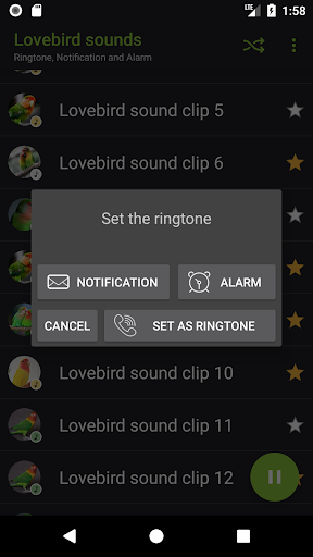 Lovebird sounds - Image screenshot of android app