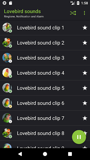 Lovebird sounds - Image screenshot of android app