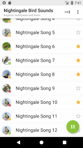Nightingale Bird Sounds - Image screenshot of android app