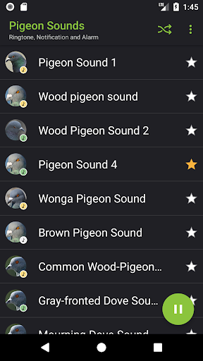 Pigeon Sounds - عکس برنامه موبایلی اندروید