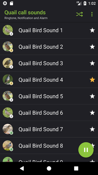 Quail sounds - Image screenshot of android app