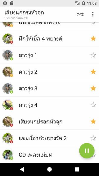 Red-whiskered bulbul Sounds - Image screenshot of android app