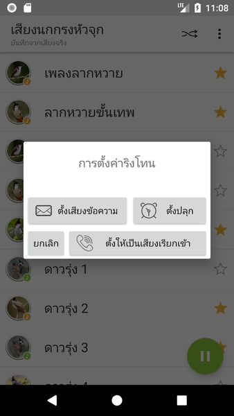 Red-whiskered bulbul Sounds - Image screenshot of android app