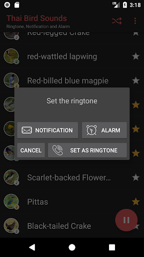 Thai Bird Sounds - Image screenshot of android app
