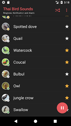 Thai Bird Sounds - Image screenshot of android app