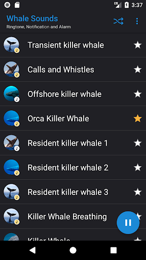 Whale Sounds - Image screenshot of android app