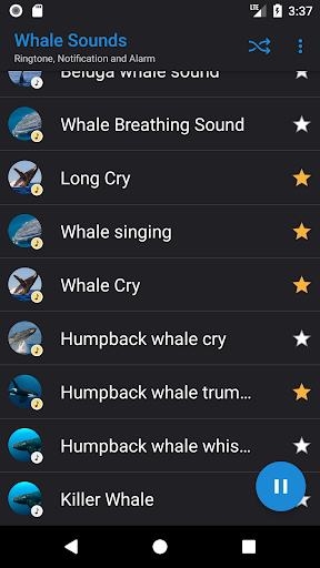 Whale Sounds - Image screenshot of android app