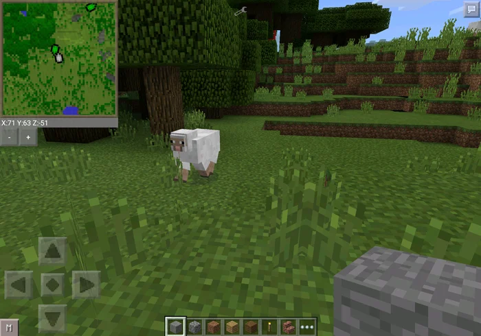 Minimap Mod Minecraft PE - Gameplay image of android game