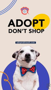 آگهی حیوانات خانگی رابینسه - عکس برنامه موبایلی اندروید