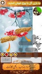 گل یا پوچ (آنلاین و آفلاین) - Gameplay image of android game