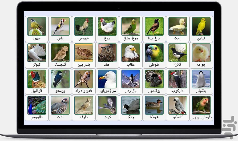 صدای پرندگان و حیوانات - عکس برنامه موبایلی اندروید