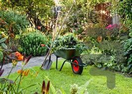 آموزش کامل باغبانی - Image screenshot of android app