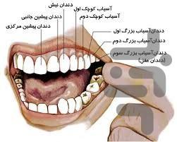 دندان پزشکی - عکس برنامه موبایلی اندروید