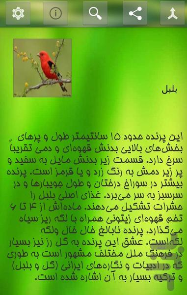 Animal World extraordinary - Image screenshot of android app