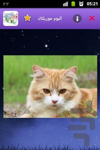 آلبوم موزیکال - عکس برنامه موبایلی اندروید