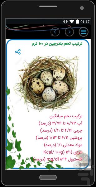 Education quail - عکس برنامه موبایلی اندروید