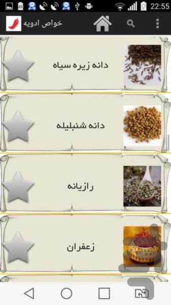 Spice properties - Image screenshot of android app