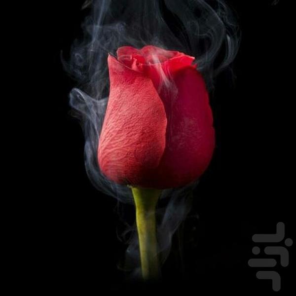 عکس خانه - عکس برنامه موبایلی اندروید