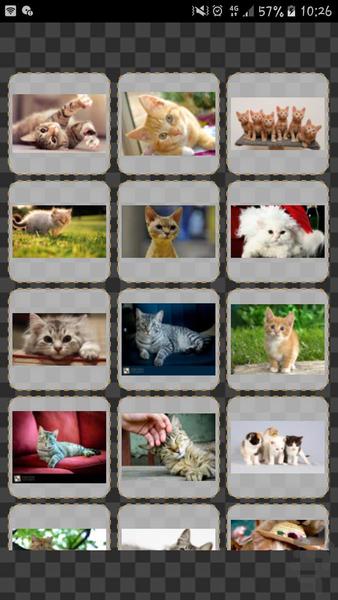 تصاویر گربه - عکس برنامه موبایلی اندروید