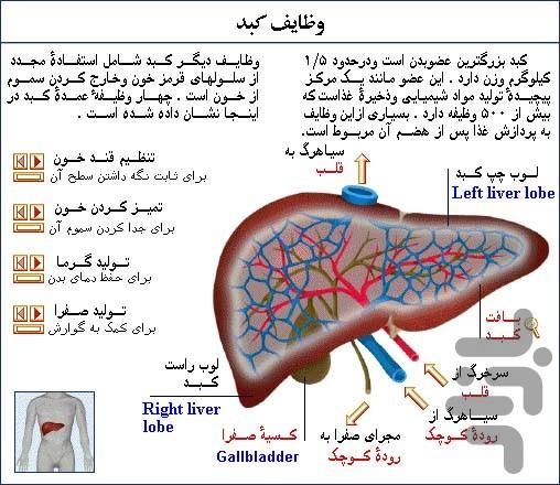 کبد من - عکس برنامه موبایلی اندروید