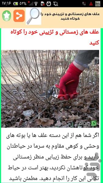 باغچه تو برای عید آماده کن - Image screenshot of android app