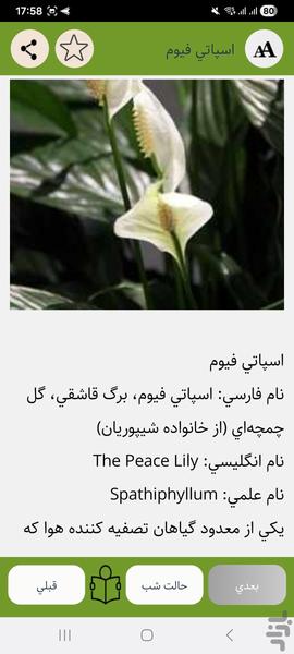 گیاهان آپارتمانی - Image screenshot of android app