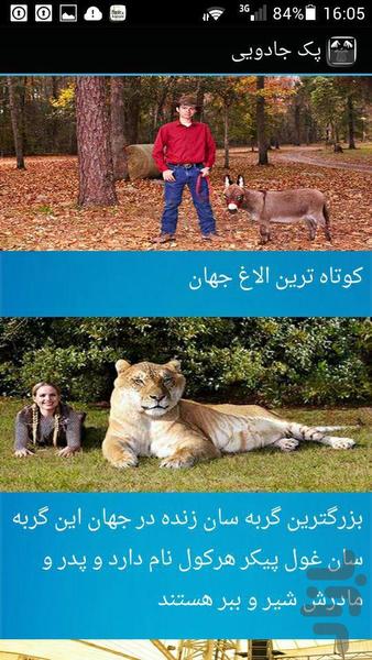 Pack magic - Image screenshot of android app