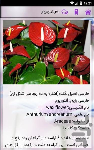 گیاهان تصفیه کننده هوای منزل - عکس برنامه موبایلی اندروید