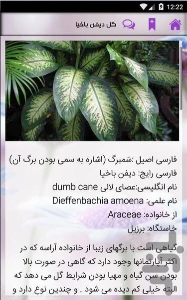 گیاهان تصفیه کننده هوای منزل - عکس برنامه موبایلی اندروید