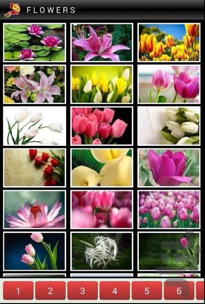 گل ها - عکس برنامه موبایلی اندروید