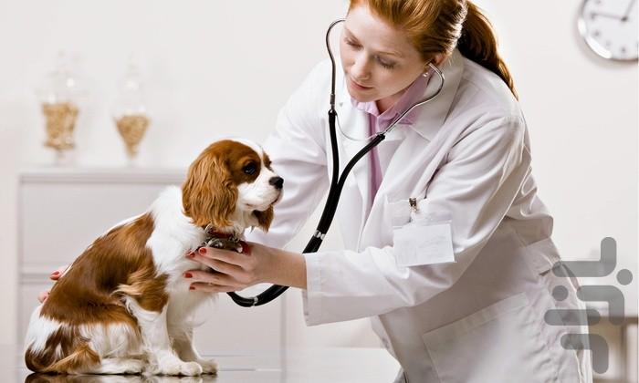 درمان 60 بیماری سگ - عکس برنامه موبایلی اندروید