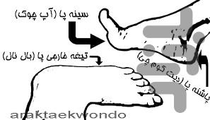 دیکشنری تکواندو - عکس برنامه موبایلی اندروید