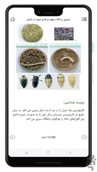 آفات مهم درختان میوه - عکس برنامه موبایلی اندروید