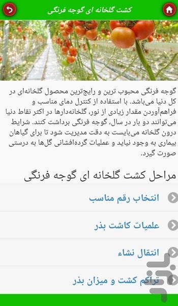 کشت گوجه‌فرنگی - عکس برنامه موبایلی اندروید